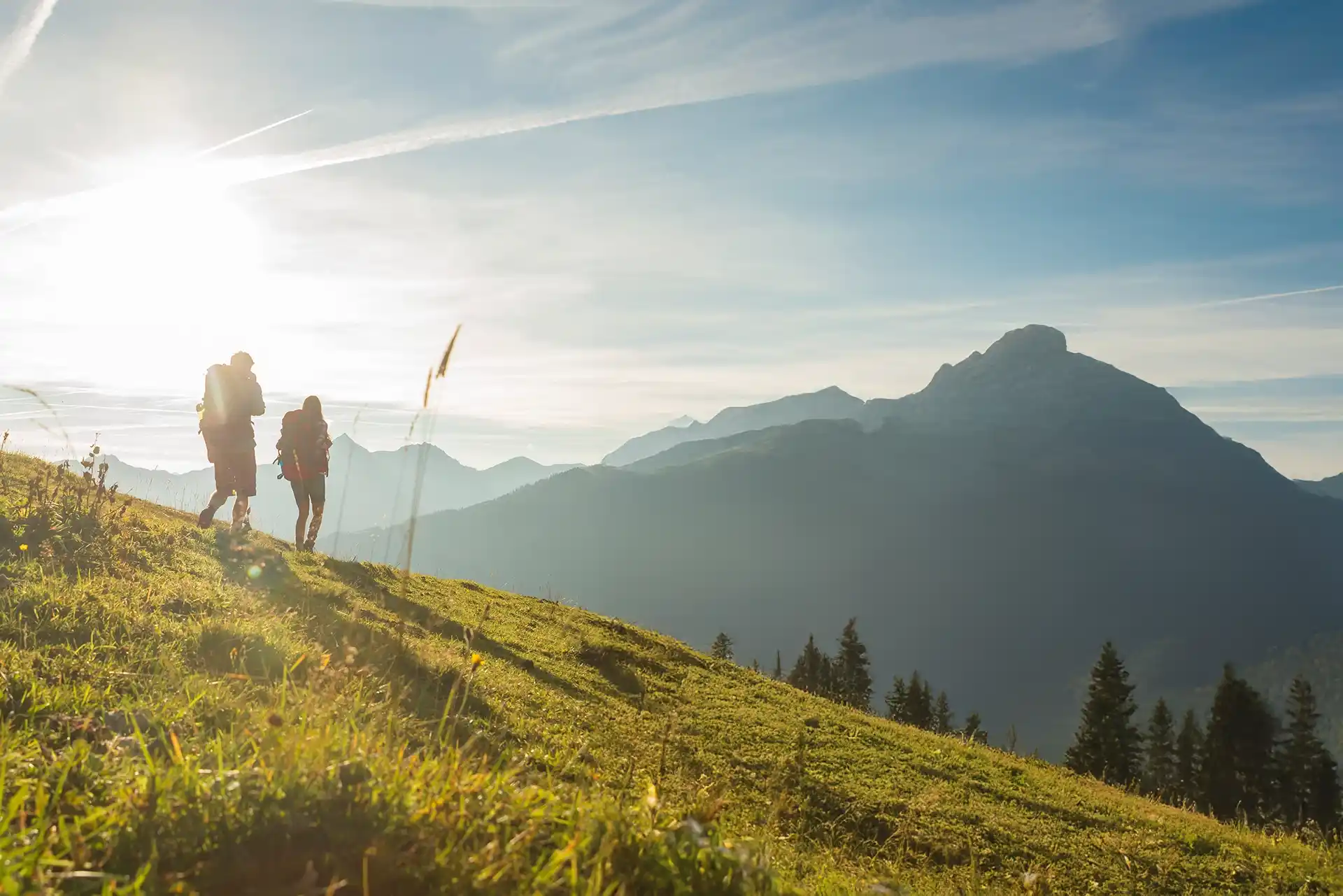 Sommer am Berg